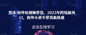 黑冰·海外短视频带货，2023年跨境新风口，海外小黄车带货新机遇天风资源网，提供全网火热网站资源、培训资料、课程、创业教程天风资源网