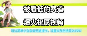 被看低的赛道爆火祝愿视频，玩法简单小白必做无脑操作，流量大涨粉快日入500天风资源网，提供全网火热网站资源、培训资料、课程、创业教程天风资源网