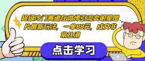 超级冷门赛道在微博引流卖明星图片最新玩法，一单88元，成交非常丝滑【揭秘】天风资源网，提供全网火热网站资源、培训资料、课程、创业教程天风资源网