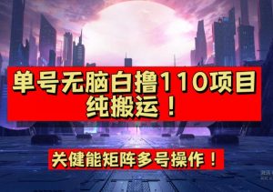 9月全网首发,单号直接白撸110!可多号操作,无脑搬运复制粘贴【揭秘】天风资源网,提供全网火热网站资源、培训资料、课程、创业教程天风资源网