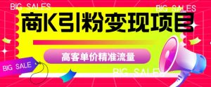 商K引粉变现项目，高客单价精准流量【揭秘】天风资源网，提供全网火热网站资源、培训资料、课程、创业教程天风资源网