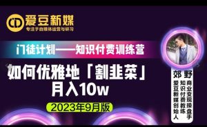 爱豆新媒：如何优雅地「割韭菜」月入10w的秘诀（2023年9月版）天风资源网，提供全网火热网站资源、培训资料、课程、创业教程天风资源网