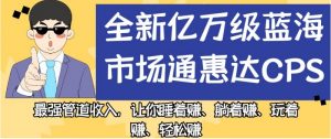 全新亿万级蓝海市场通惠达cps,最强管道收入,让你睡着赚、躺着赚、玩着赚、轻松赚【揭秘】天风资源网,提供全网火热网站资源、培训资料、课程、创业教程天风资源网
