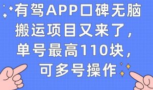 有驾APP口碑无脑搬运项目又来了，单号最高110块，可多号操作天风资源网，提供全网火热网站资源、培训资料、课程、创业教程天风资源网