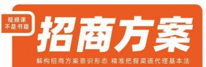 王昕招商方案,解构招商方案意识形态,精准把握渠道代理基本法天风资源网,提供全网火热网站资源、培训资料、课程、创业教程天风资源网