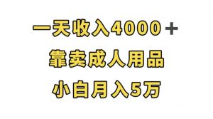 一天收入4000+，靠卖成人用品，小白轻松月入5万【揭秘】天风资源网，提供全网火热网站资源、培训资料、课程、创业教程天风资源网