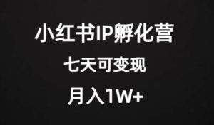 价值2000+的小红书IP孵化营项目,超级大蓝海,七天即可开始变现,稳定月入1W+天风资源网,提供全网火热网站资源、培训资料、课程、创业教程天风资源网