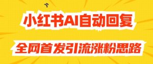 【原创开发】小红书AI自动回复,全网首发引流涨粉思路天风资源网,提供全网火热网站资源、培训资料、课程、创业教程天风资源网