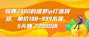 收费2980的塔罗ip打造项目,单价198-999不等,5天赚了2000块【揭秘】天风资源网,提供全网火热网站资源、培训资料、课程、创业教程天风资源网