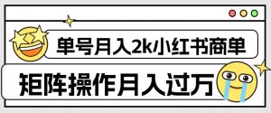 外面收费1980的小红书商单保姆级教程，单号月入2k，矩阵操作轻松月入过万天风资源网，提供全网火热网站资源、培训资料、课程、创业教程天风资源网