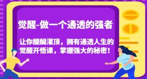 觉醒-做一个通透的强者,让你醍醐灌顶,拥有通透人生的觉醒开悟课,掌握强大的秘密!天风资源网,提供全网火热网站资源、培训资料、课程、创业教程天风资源网