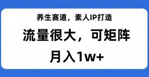 养生赛道,素人IP打造,流量很大,可矩阵,月入1w+【揭秘】天风资源网,提供全网火热网站资源、培训资料、课程、创业教程天风资源网