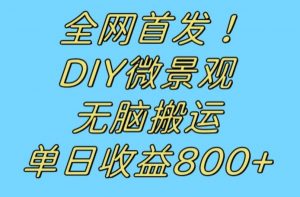 全网首发冷门赛道!DIY微景观,无脑搬运视频,日收益800+【揭秘】天风资源网,提供全网火热网站资源、培训资料、课程、创业教程天风资源网