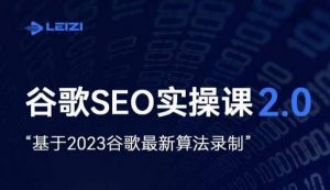 雷子·谷歌SEO 2.0实战课，独立站询盘自由必备，基于2023谷歌最新算法录制天风资源网，提供全网火热网站资源、培训资料、课程、创业教程天风资源网
