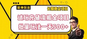 试玩充值流掘金项目，批量矩阵玩法一天500+【揭秘】天风资源网，提供全网火热网站资源、培训资料、课程、创业教程天风资源网