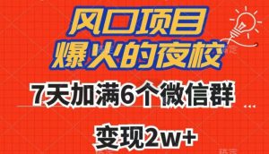 全网首发，爆火的夜校，7天加满6个微信群，变现2w+【揭秘】天风资源网，提供全网火热网站资源、培训资料、课程、创业教程天风资源网
