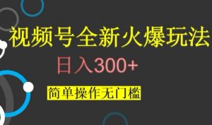 视频号最新爆火玩法,日入300+,简单操作无门槛【揭秘】天风资源网,提供全网火热网站资源、培训资料、课程、创业教程天风资源网