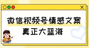 视频号情感文案，真正大蓝海，简单操作，新手小白轻松上手（教程+素材）【揭秘】天风资源网，提供全网火热网站资源、培训资料、课程、创业教程天风资源网