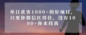 单日获客1000+的好项目，只要你微信扛得住，没有1000+你来找我【揭秘】天风资源网，提供全网火热网站资源、培训资料、课程、创业教程天风资源网