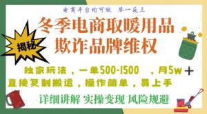 利用电商平台冬季销售取暖用品欺诈行为合理制裁店铺，单日入900+【仅揭秘】天风资源网，提供全网火热网站资源、培训资料、课程、创业教程天风资源网
