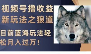 视频号撸收益新玩法之狼道,目前蓝海玩法,轻松月入过万【揭秘】天风资源网,提供全网火热网站资源、培训资料、课程、创业教程天风资源网