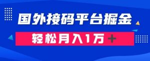 通过国外接码平台掘金：成本1.3，利润10＋，轻松月入1万＋【揭秘】天风资源网，提供全网火热网站资源、培训资料、课程、创业教程天风资源网