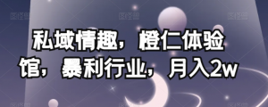 私域情趣,橙仁体验馆,暴利行业,月入2w【揭秘】天风资源网,提供全网火热网站资源、培训资料、课程、创业教程天风资源网