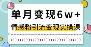 单月变现6W+，抖音情感粉引流变现实操课，小白可做，轻松上手，独家赛道【揭秘】天风资源网，提供全网火热网站资源、培训资料、课程、创业教程天风资源网