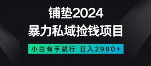 暴力私域捡钱项目,小白无脑操作,日入2980【揭秘】天风资源网,提供全网火热网站资源、培训资料、课程、创业教程天风资源网