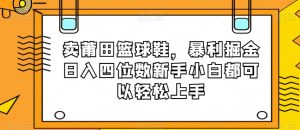 卖莆田篮球鞋，暴利掘金日入四位数新手小白都可以轻松上手【揭秘】天风资源网，提供全网火热网站资源、培训资料、课程、创业教程天风资源网