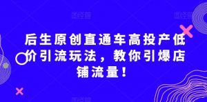 后生原创直通车高投产低价引流玩法,教你引爆店铺流量!天风资源网,提供全网火热网站资源、培训资料、课程、创业教程天风资源网