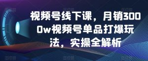 视频号线下课,月销3000w视频号单品打爆玩法,实操全解析天风资源网,提供全网火热网站资源、培训资料、课程、创业教程天风资源网