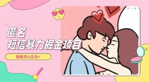 全网首发,揭秘超冷门匿名短信项目,通过信息差日入几百+【揭秘】天风资源网,提供全网火热网站资源、培训资料、课程、创业教程天风资源网