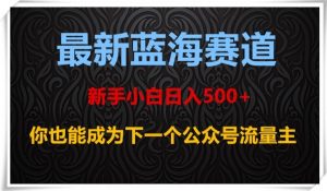 最新蓝海赛道,新手小白日入500+,你也能成为下一个公众号流量主【揭秘】天风资源网,提供全网火热网站资源、培训资料、课程、创业教程天风资源网