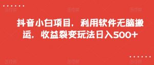 抖音小白项目，利用软件无脑搬运，收益裂变玩法日入500+【揭秘】天风资源网，提供全网火热网站资源、培训资料、课程、创业教程天风资源网