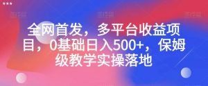 全网首发,多平台收益项目,0基础日入500+,保姆级教学实操落地【揭秘】天风资源网,提供全网火热网站资源、培训资料、课程、创业教程天风资源网