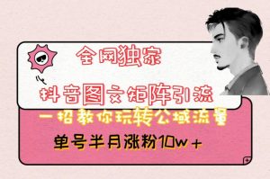 全网独家抖音图文矩阵引流，一招教你玩转公域流量，单号半月涨粉10w+【揭秘】天风资源网，提供全网火热网站资源、培训资料、课程、创业教程天风资源网