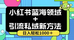 小红书蓝海虚拟＋引流私域新方法，100%不限流，日入轻松1000＋，小白无脑操作【揭秘】天风资源网，提供全网火热网站资源、培训资料、课程、创业教程天风资源网
