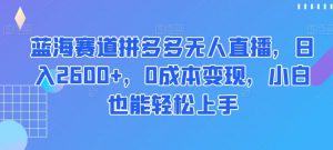 蓝海赛道拼多多无人直播,日入2600+,0成本变现,小白也能轻松上手【揭秘】天风资源网,提供全网火热网站资源、培训资料、课程、创业教程天风资源网