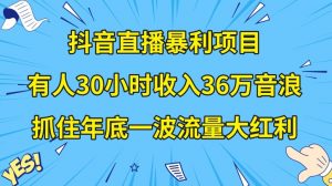 抖音直播暴利项目,有人30小时收入36万音浪,公司宣传片年会视频制作,抓住年底一波流量大红利【揭秘】天风资源网,提供全网火热网站资源、培训资料、课程、创业教程天风资源网