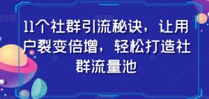 11个社群引流秘诀,让用户裂变倍增,轻松打造社群流量池天风资源网,提供全网火热网站资源、培训资料、课程、创业教程天风资源网