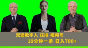 Ai生成双语数字人狂撸视频号，日入700+内附251G素材【揭秘】天风资源网，提供全网火热网站资源、培训资料、课程、创业教程天风资源网