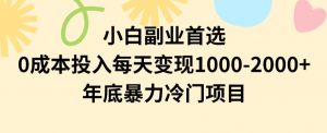 小白副业首选,0成本投入,每天变现1000-2000年底暴力冷门项目【揭秘】天风资源网,提供全网火热网站资源、培训资料、课程、创业教程天风资源网