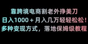 靠跨境电商割老外挣美刀,日入1000+月入几万轻轻松松!多种变现方式,落地保姆级教程【揭秘】天风资源网,提供全网火热网站资源、培训资料、课程、创业教程天风资源网