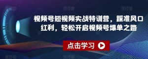 视频号短视频实战特训营，踩准风口红利，轻松开启视频号爆单之路天风资源网，提供全网火热网站资源、培训资料、课程、创业教程天风资源网