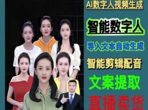 伍老师Ai数字人快速剪辑制作以及变现视频课天风资源网，提供全网火热网站资源、培训资料、课程、创业教程天风资源网