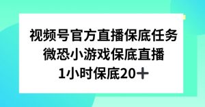 视频号直播任务,微恐小游戏,1小时20+【揭秘】天风资源网,提供全网火热网站资源、培训资料、课程、创业教程天风资源网