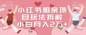 小红书相亲项目玩法拆解,有人通过这个副业项目做到了月收入2万多【揭秘】天风资源网,提供全网火热网站资源、培训资料、课程、创业教程天风资源网