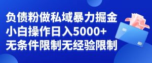 负债粉私域暴力掘金,小白操作入5000,无经验限制,无条件限制【揭秘】天风资源网,提供全网火热网站资源、培训资料、课程、创业教程天风资源网