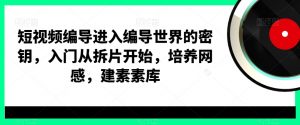 短视频编导进入编导世界的密钥,入门从拆片开始,培养网感,建素素库天风资源网,提供全网火热网站资源、培训资料、课程、创业教程天风资源网